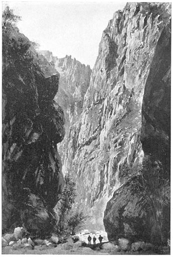 Barranca de San Carlos, in its Upper Part.