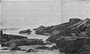 Marinha―João Vaz Marinha―João Vaz