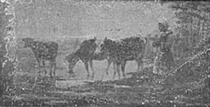 Guardando vaccas―Eduardo Moura Guardando vaccas―Eduardo Moura