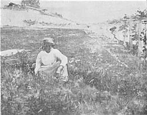 Ao Sol―Sophia de Sousa Ao Sol―Sophia de Sousa