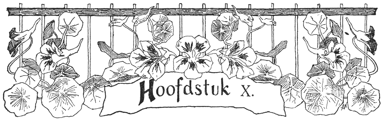 Hoofdstuk X.