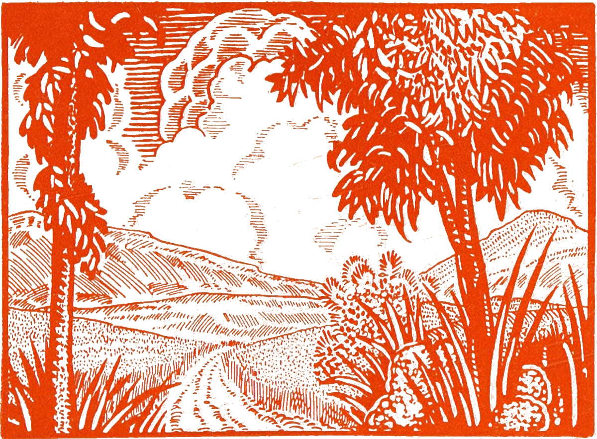 Rural path