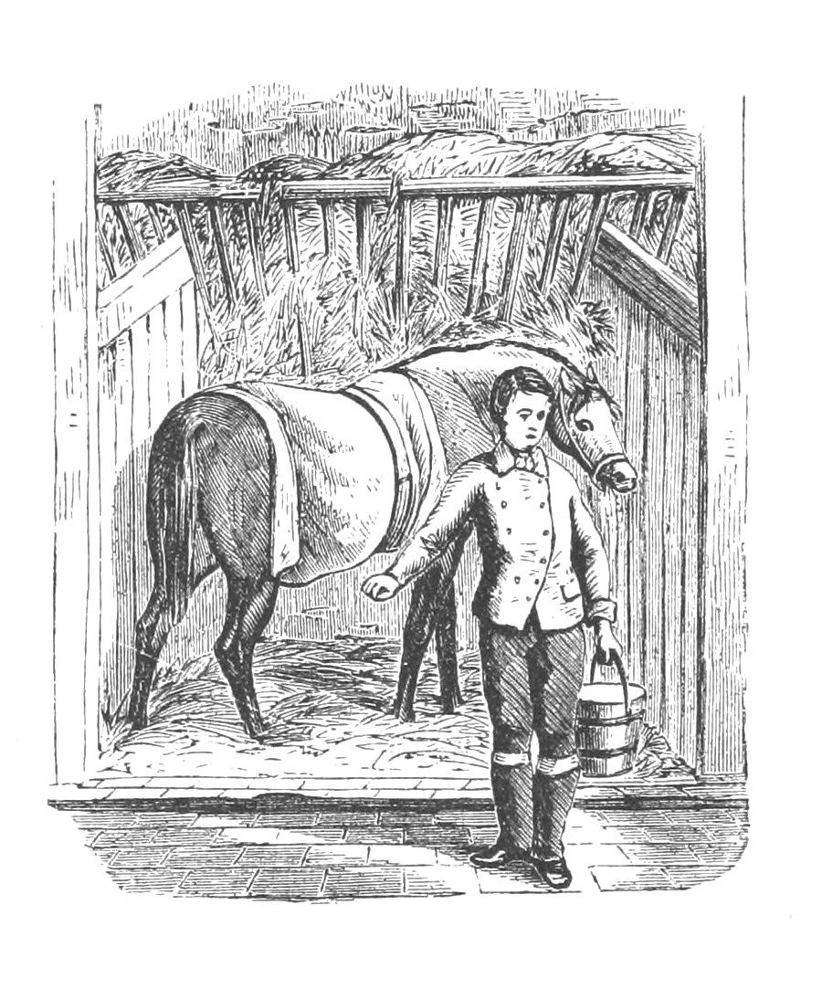 Young man carrying pail away from a stabled horse